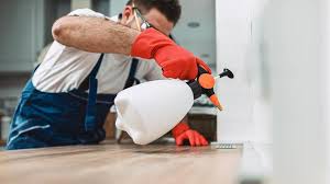 Best Residential Pest Control  in Deerfield, MI